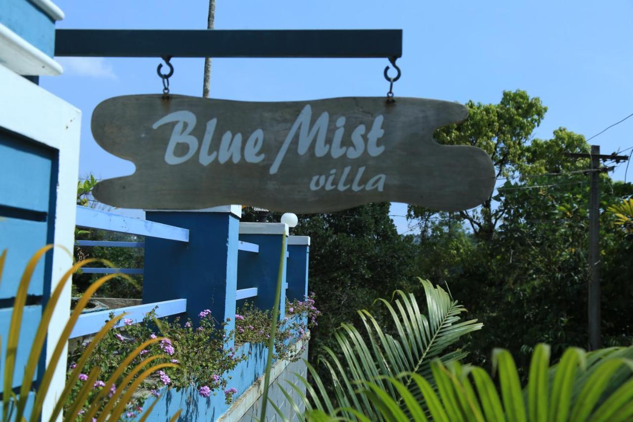 Munnar Blue Mist Bed and Breakfast Eksteriør billede